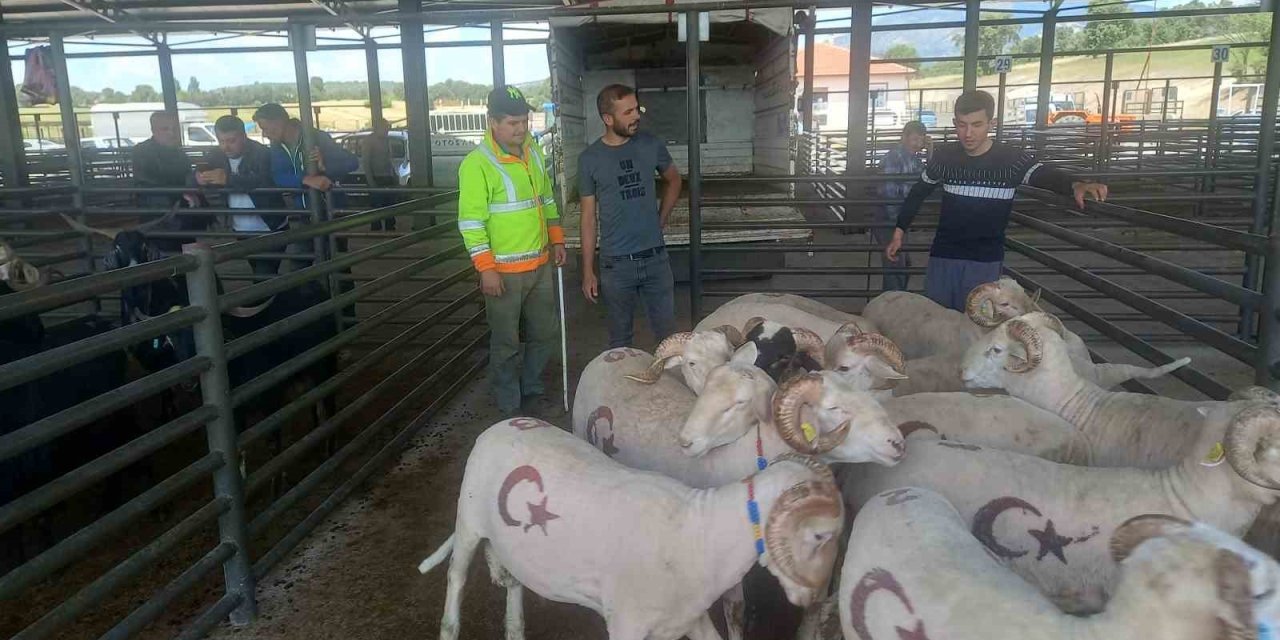 Gediz’de Kurbanlık Satışları Başladı