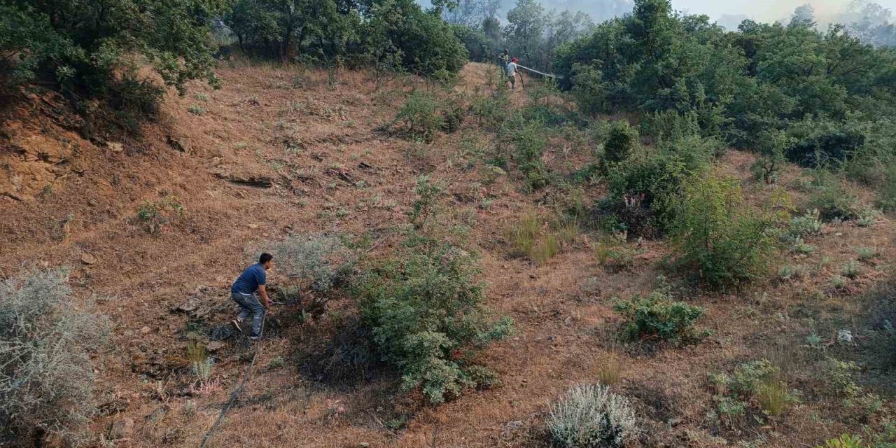 Manisa’daki Orman Yangını Söndürüldü