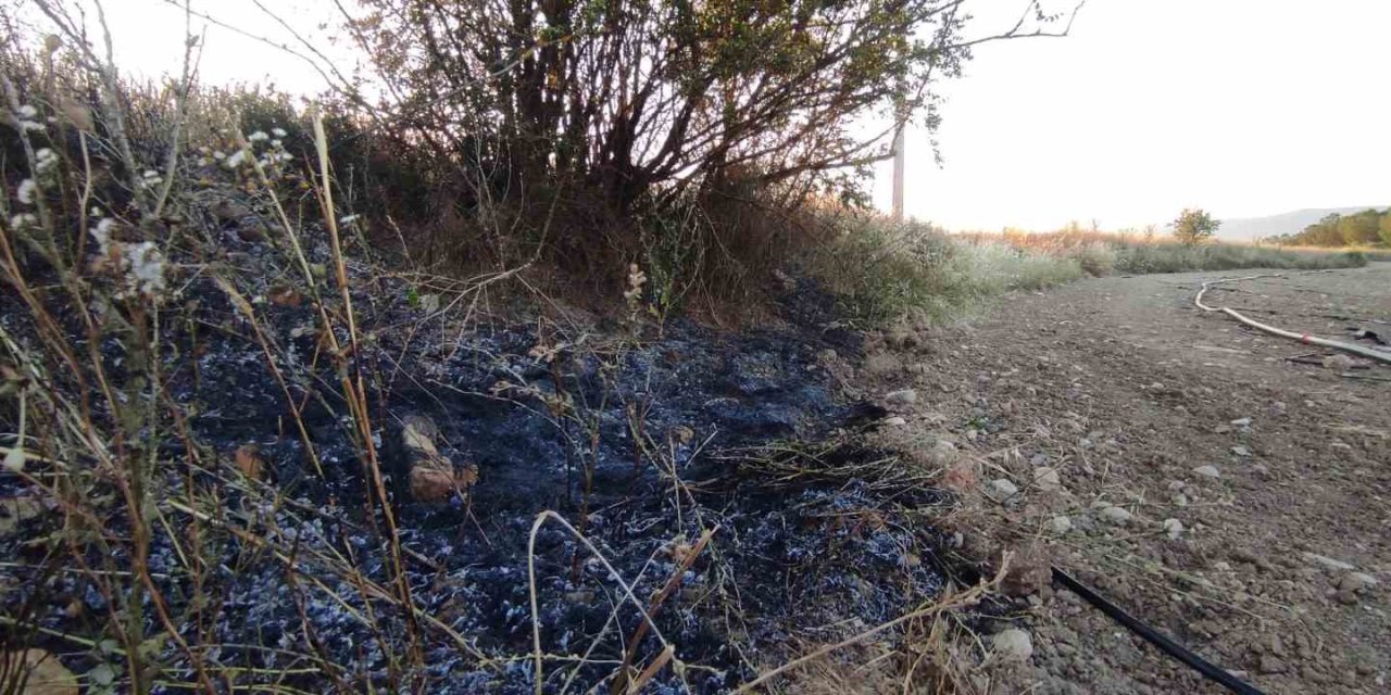 Osmaneli’de Elektrik Tellerine Çarpan Kuş Yangına Neden Oldu