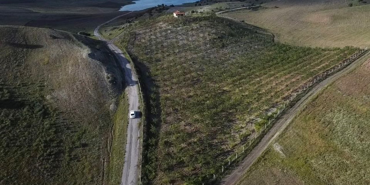 Hububat Ekili Kıraç Arazisini Badem Bahçesine Çevirdi, Gelirini Artırdı