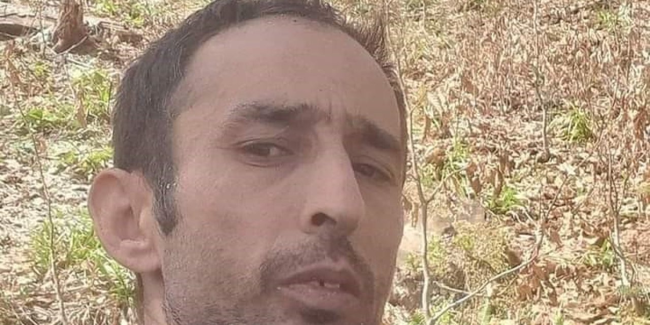 Giresun’da Kestiği Ağacın Altında Kalan İşçi Hayatını Kaybetti