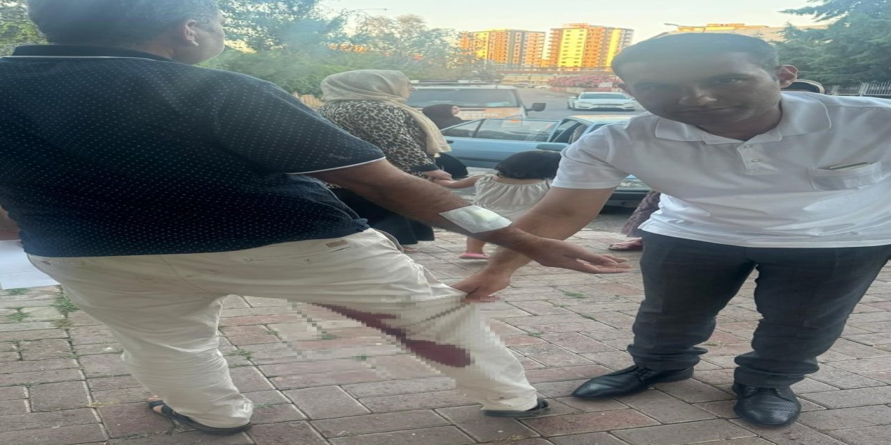 Kuduz köpek ısırdı, karantinaya alındı