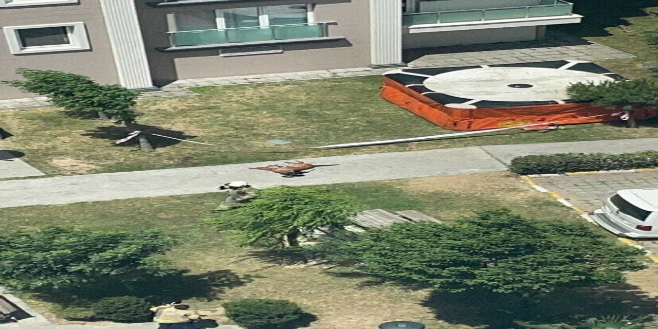 Başakşehir'de emekli polis memuru, polis köpeğini vurup camdan aşağıya attı