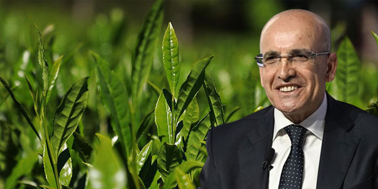 Beklenen Gerçek Oldu: Budama Paraları Bayram Öncesi Ödenmiyor!