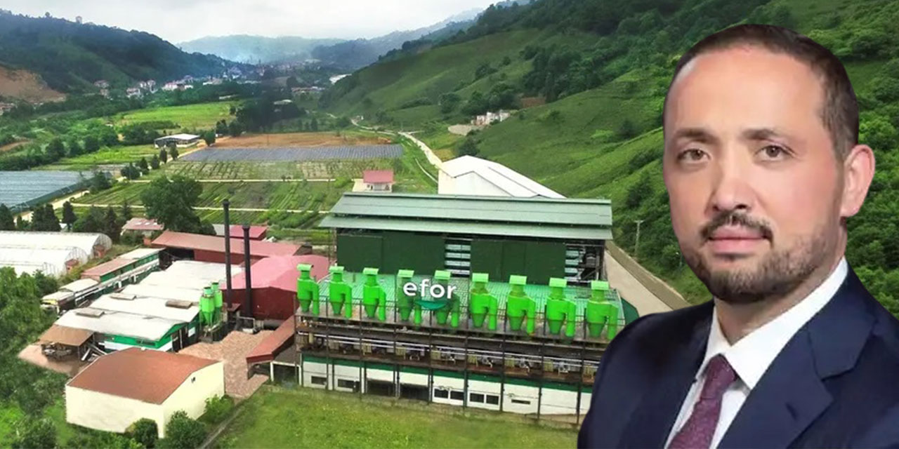 Efor Çay halka açılıyor: Talep toplama tarihleri 26-27-28 Haziran