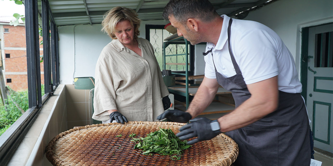 Hollanda’dan Rize’ye gelip çayın üretim aşamalarını gördüler