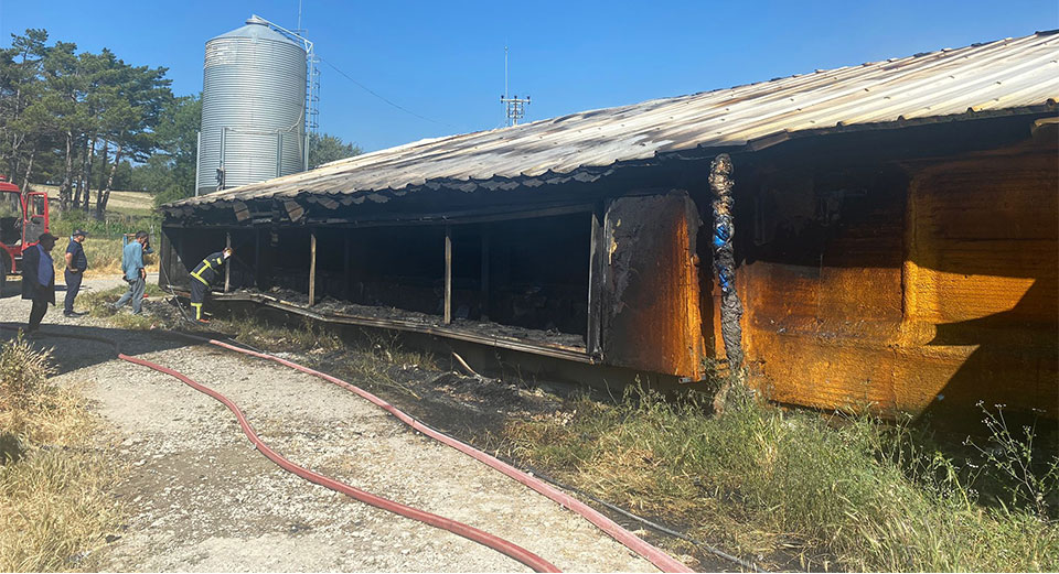 Bolu'da kümes yangınında yaklaşık 20 bin tavuk telef oldu