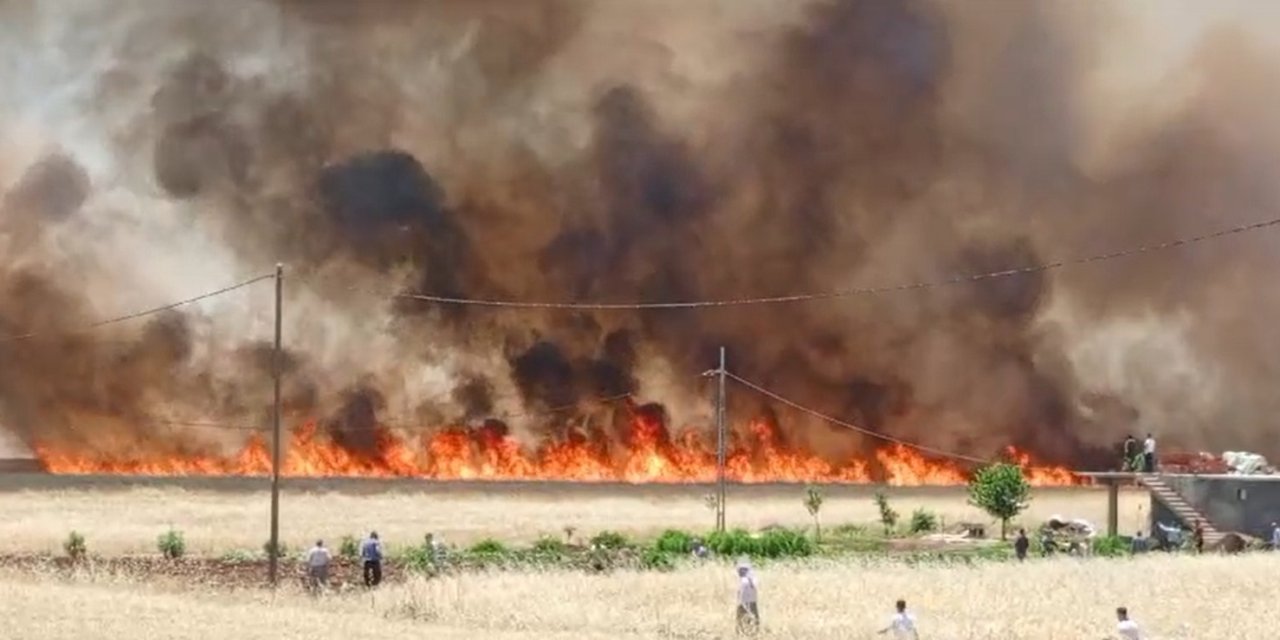Diyarbakır’da 3 Ayrı Bölgede 420 Dönüm Ekili Buğday Yandı
