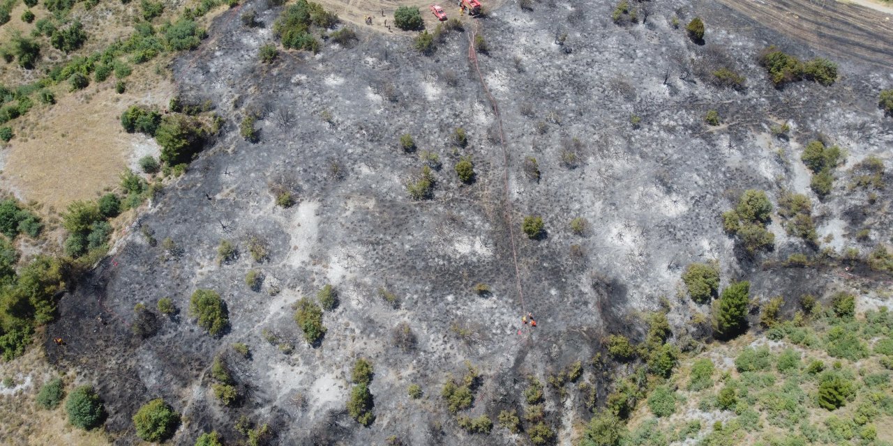Bilecik'te Orman Yangını, Erken Müdahaleyle Söndürüldü