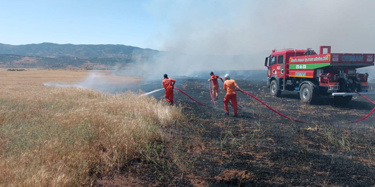 Bingöl'de 100 Dönüm Alanda Etkili Olan Ot Yangını Söndürüldü