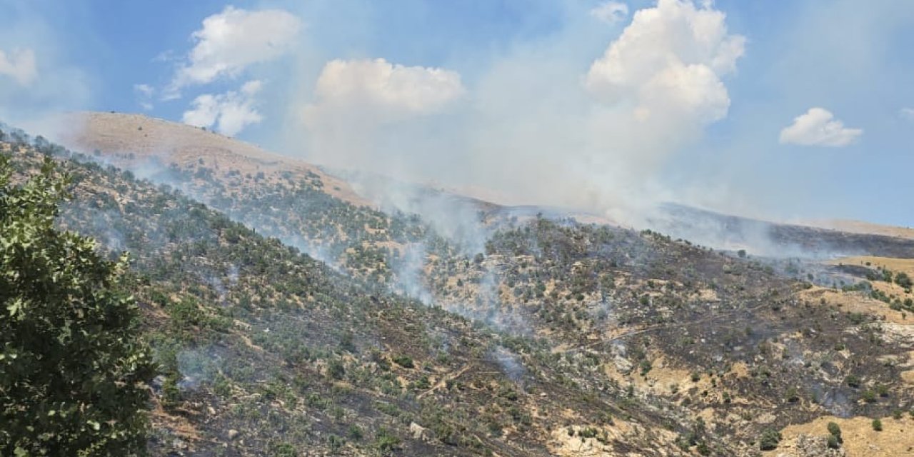 Siirt'te Çıkan Orman Yangını, 6 Saatte Kontrol Altına Alındı