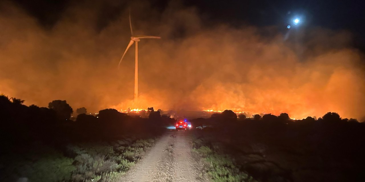 Çeşme'de Makilik Alanda Yangın(2)