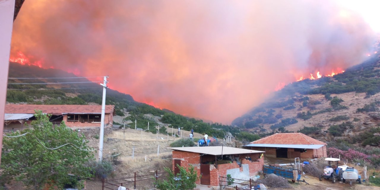 Manisa'da Orman Yangını (3)