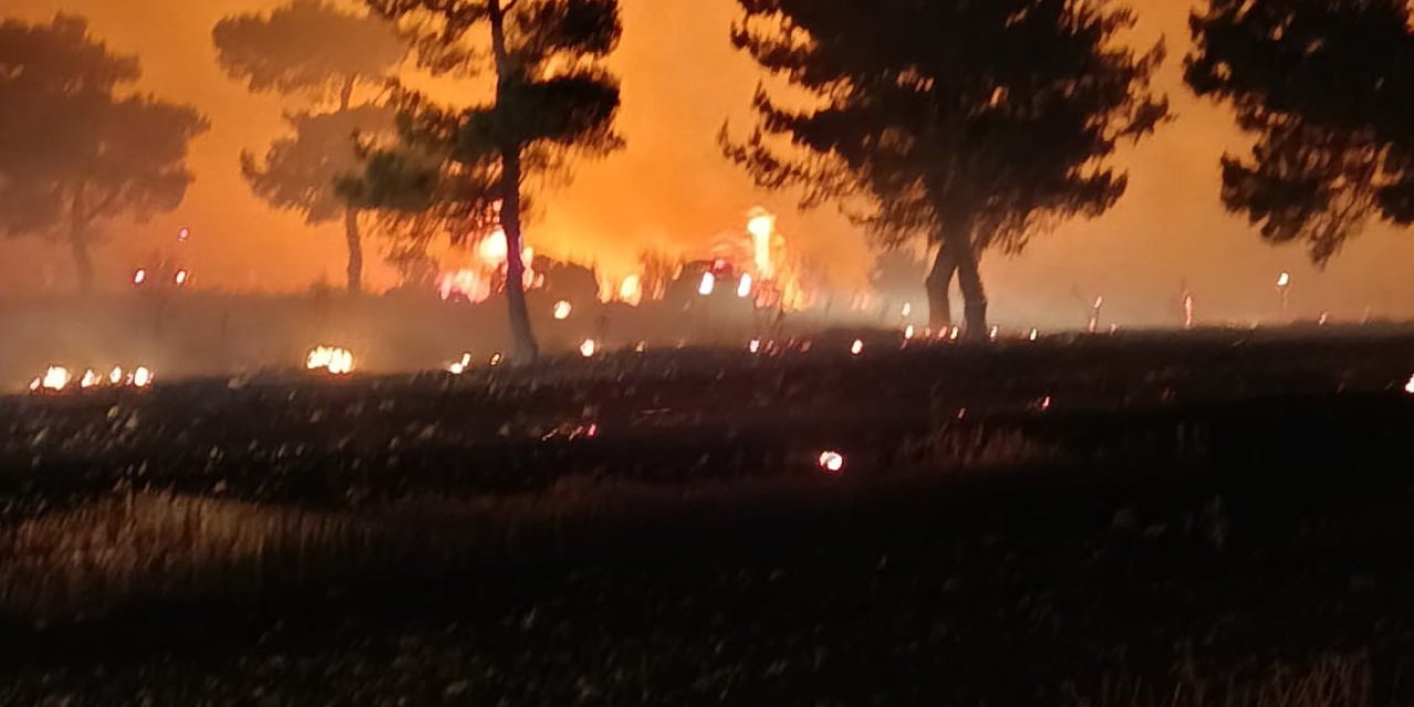Çanakkale'de Tarım Arazisinde Başlayıp Ormana Sıçrayan Yangın 2 Saatte Söndürüldü