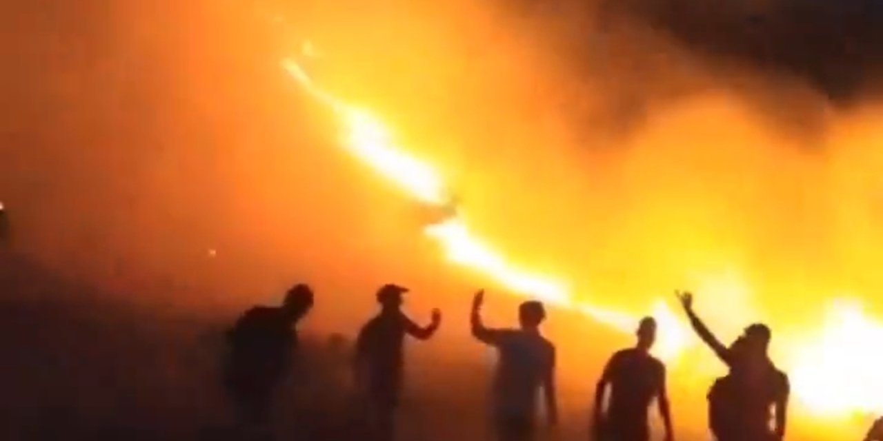 Mardin'de Orman Yangını