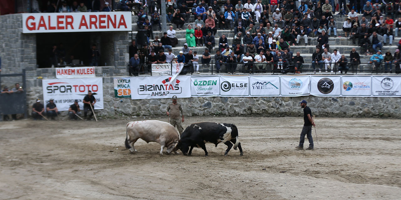 Rize'de "28. Çamlıhemşin Ayder Kültür, Sanat ve Doğa Festivali" başladı