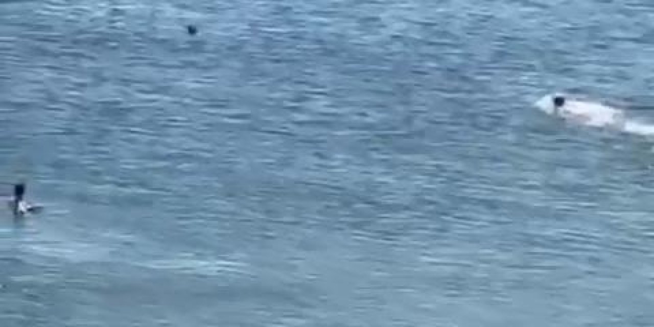 İstanbul - Avcılar’da Boğulmaktan Son Anda Kurtarıldı