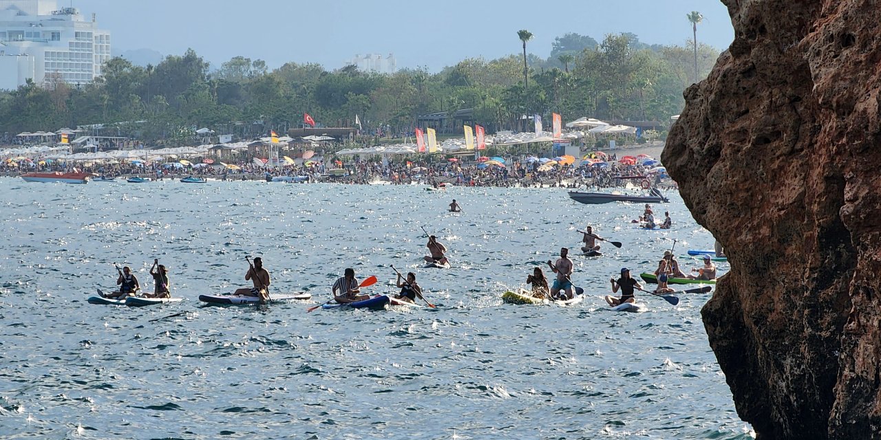 Akdeniz Foklarına 'Kürek Sörfü' Tehdidi