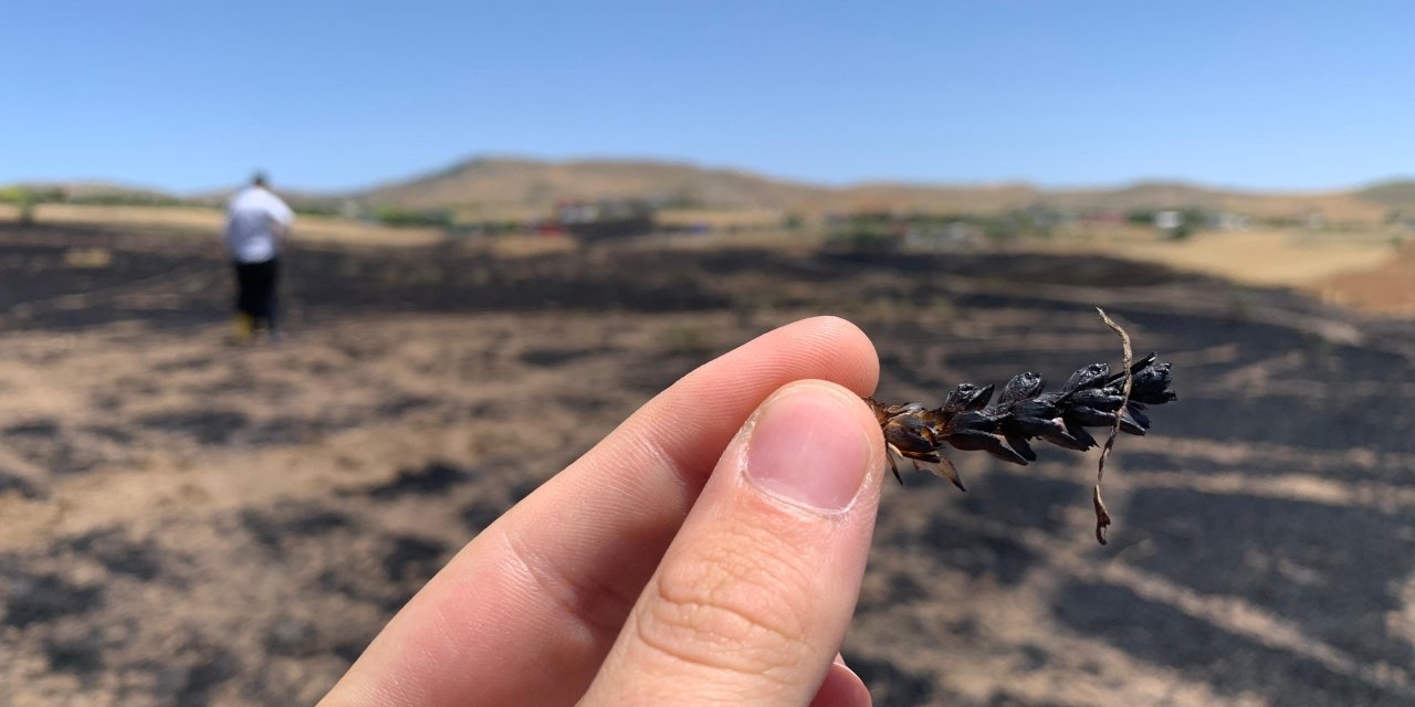 Ankara'da Ekili 100 Dönüm Arpa Ve Buğday Yandı