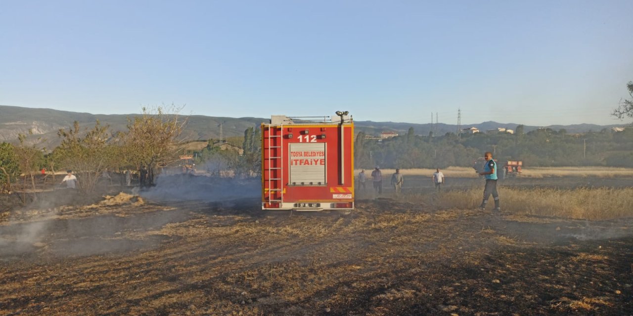Kastamonu'da Anız Kaynaklı Çıkan Yangında 4 Dönüm Tarla Zarar Gördü