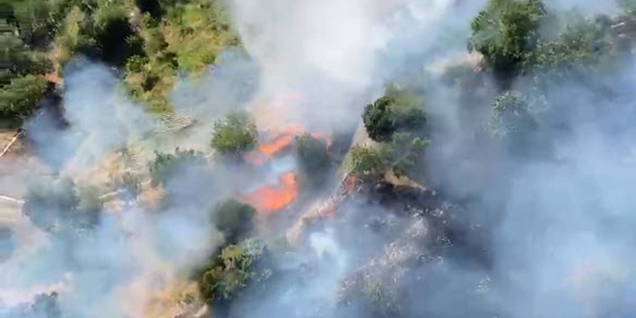 Balıkesir'de Orman Yangını