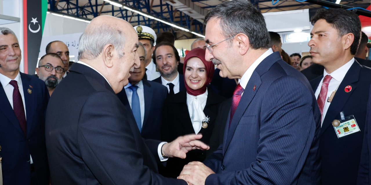 Cumhurbaşkanı Yardımcısı Yılmaz, Cezayir Cumhurbaşkanı Tebbun İle Görüştü (2)