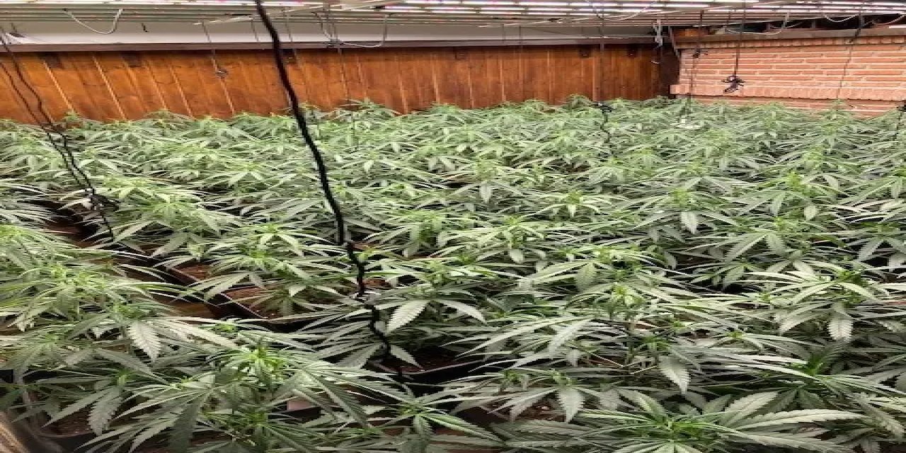 Türk, Fransız, İspanyol Ve Europol Polisi Ortak Operasyonunda 2 Ton Esrar Ele Geçirildi