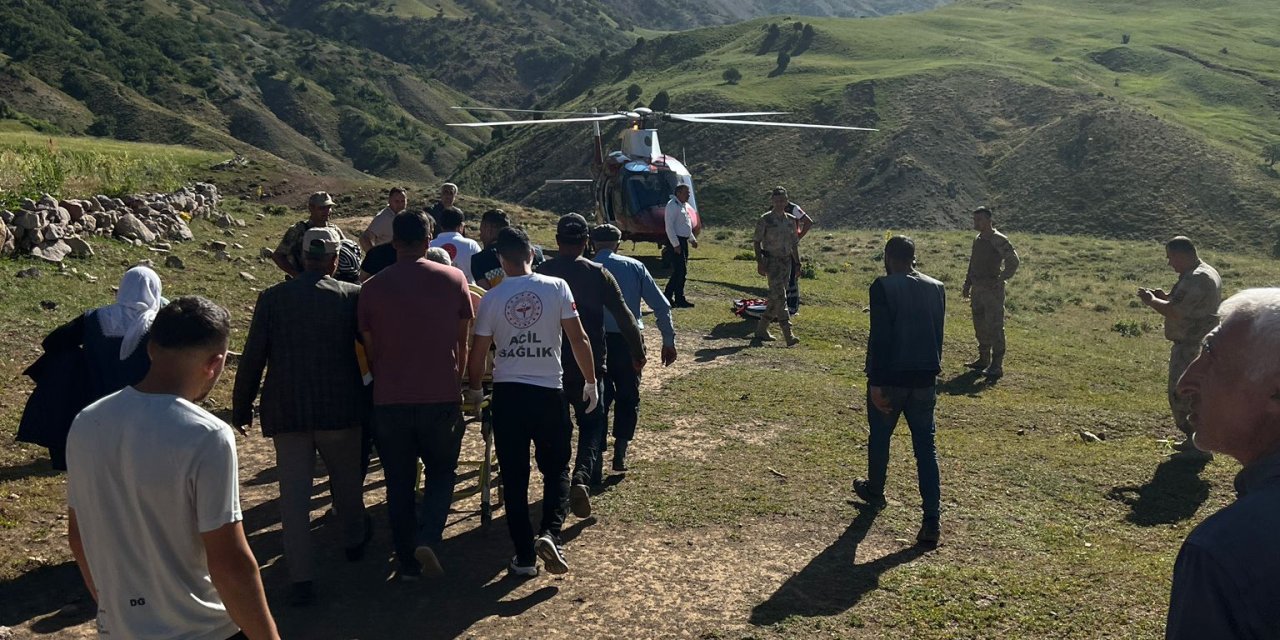 Bingöl'de Arı Sokması Sonucu Bilinç Kaybı Yaşayan Hasta, Ambulans Helikopterle Erzurum'a Götürüldü
