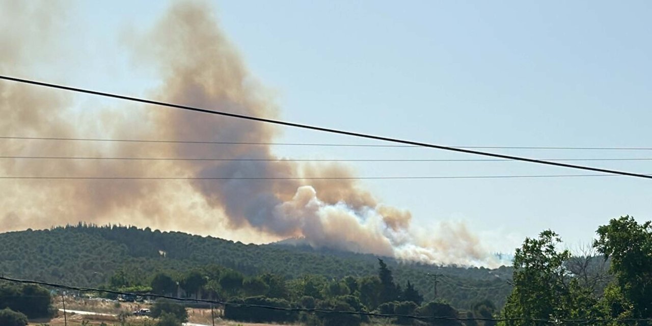 Çanakkale'de Orman Yangını