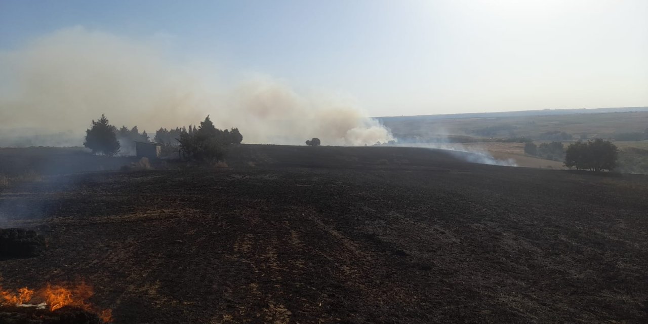 İstanbul-silivri'de Tarım Arazisinde Yangın-1