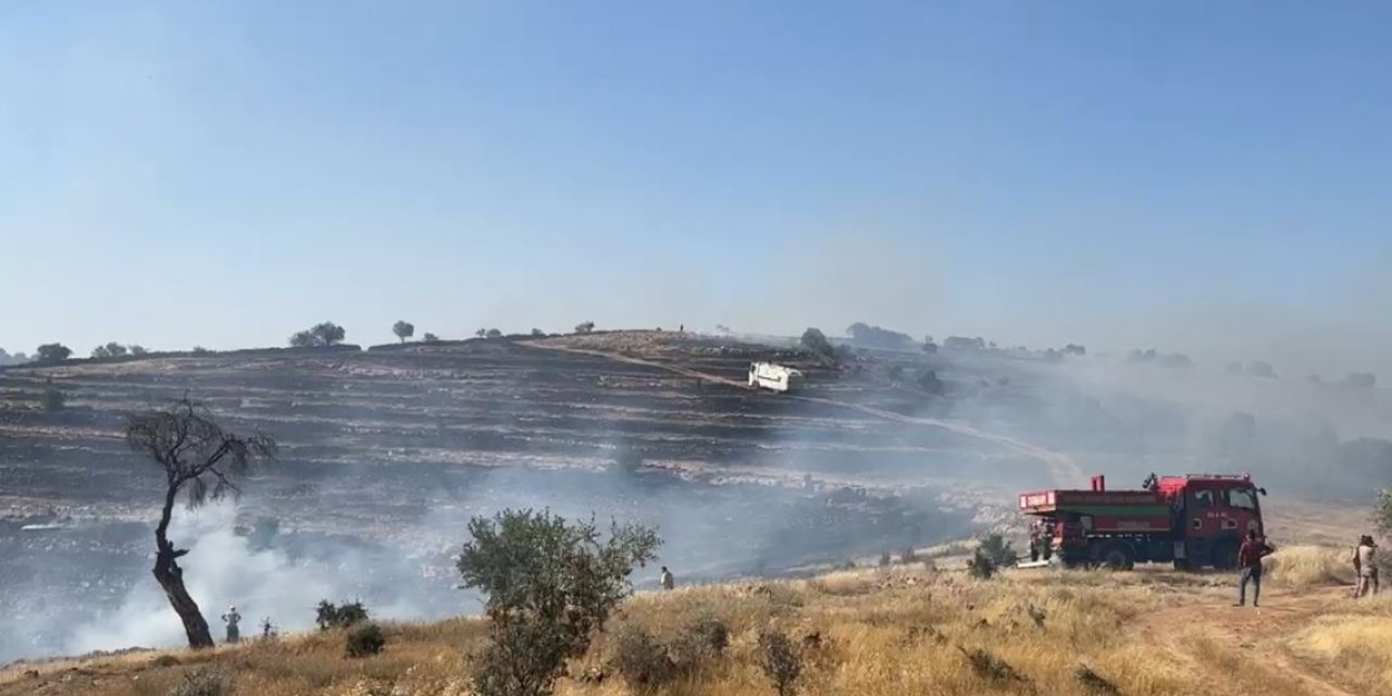 Batman- Mardin Sınırında Anız Ve Örtü Yangını