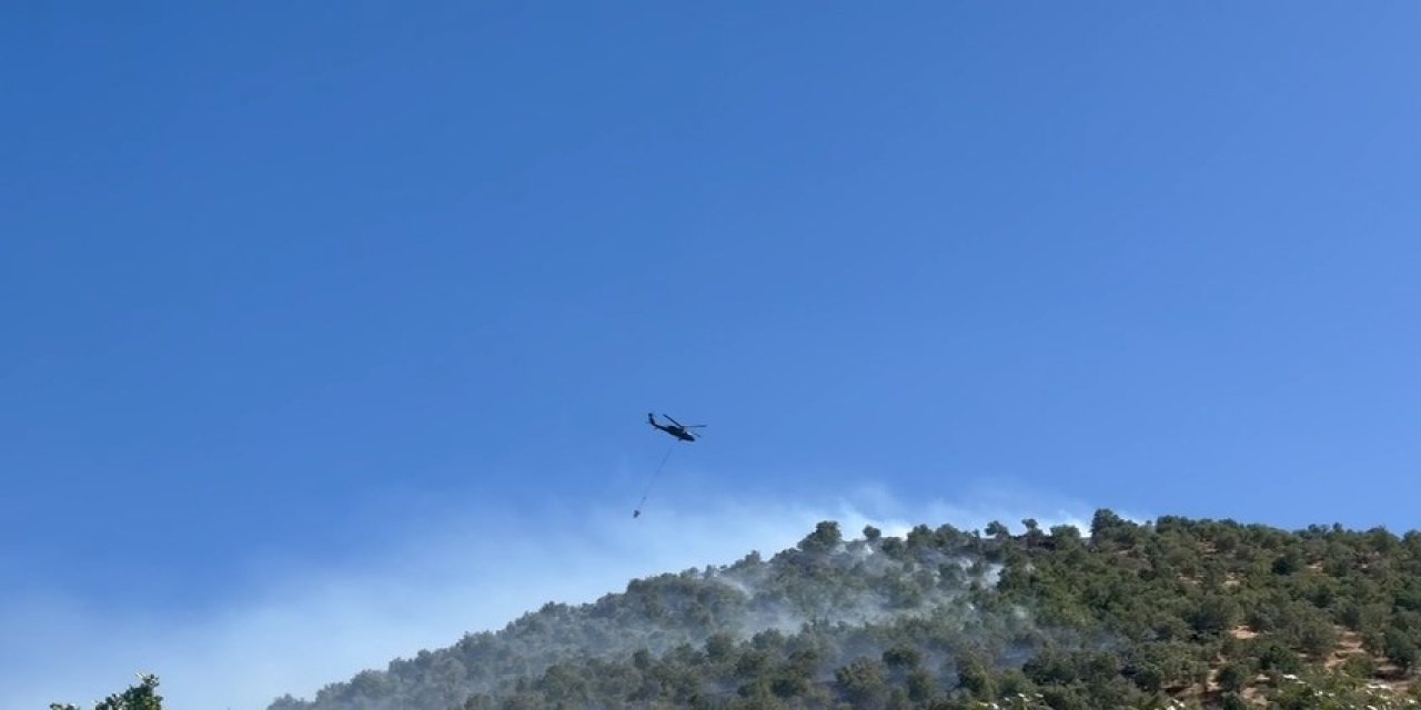 Diyarbakır’da Örtü Yangını; Alevlere Havadan Ve Karadan Müdahale (2)
