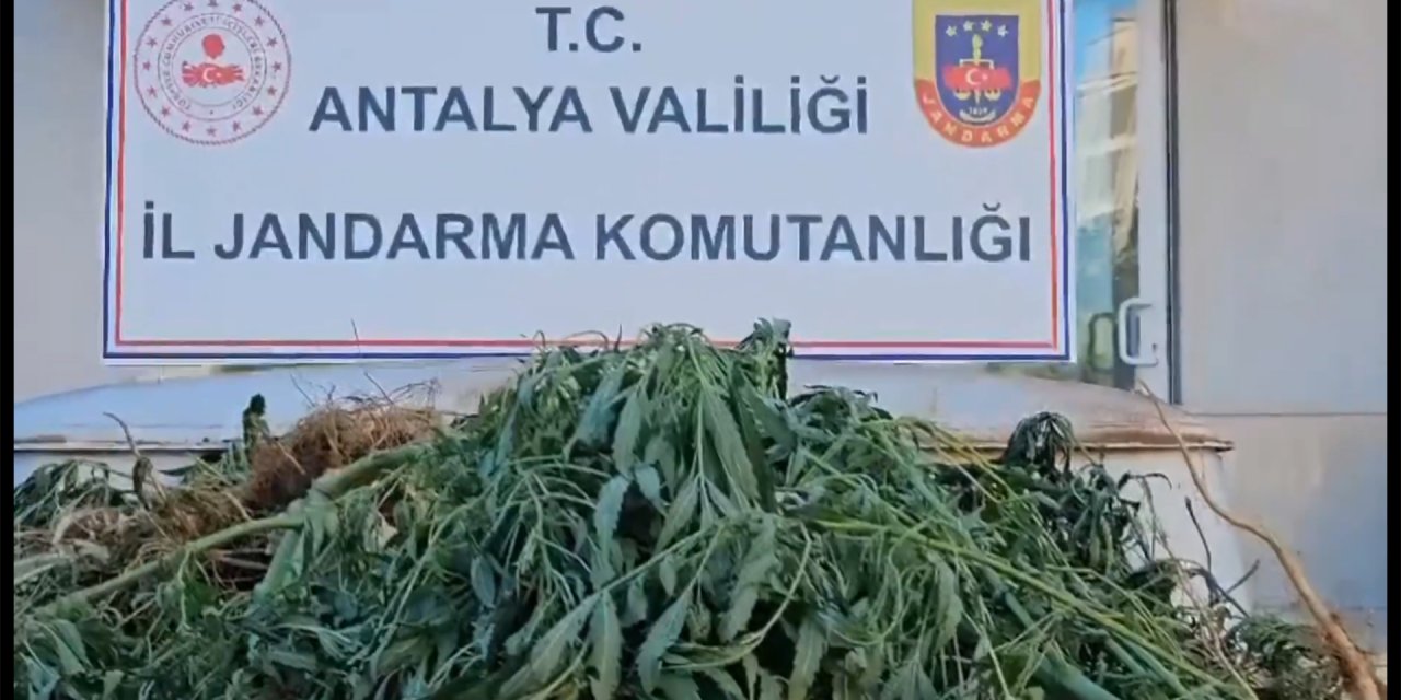 Uyuşturucu Tacirlerine 'Narkoçelik-24' Operasyonlarında, 28 Tutuklama