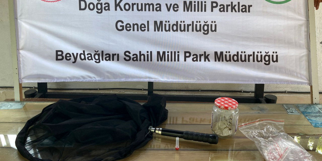 Ormanda İzinsiz Böcek Toplarken Yakalanan Rus Akademisyene 378 Bin 141 Lira Ceza