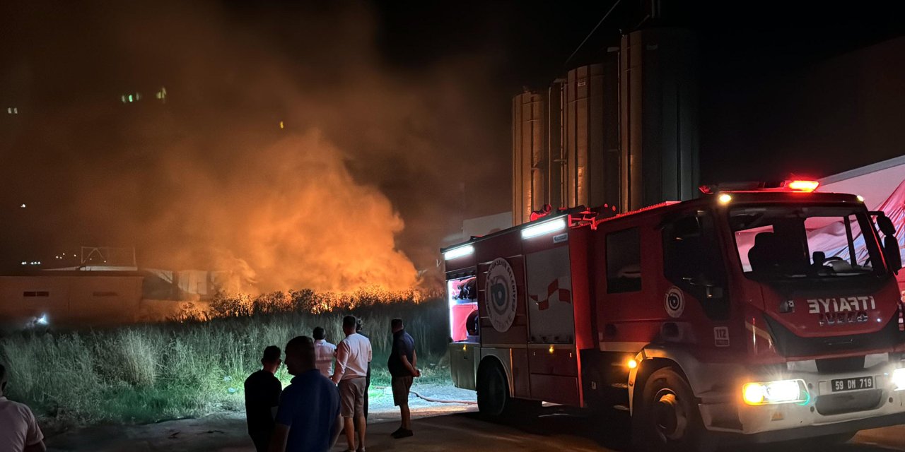 Tekirdağ’da Fabrikalar Bölgesinde Trafo Patladı, Otluk Yangını Çıktı