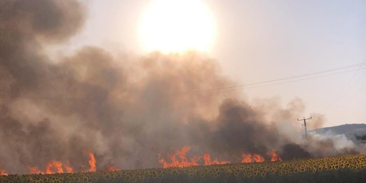 Buğday Tarlasındaki Yangın 1 Saatte Kontrol Altına Alındı; 60 Dönüm Ekili Alan Yandı