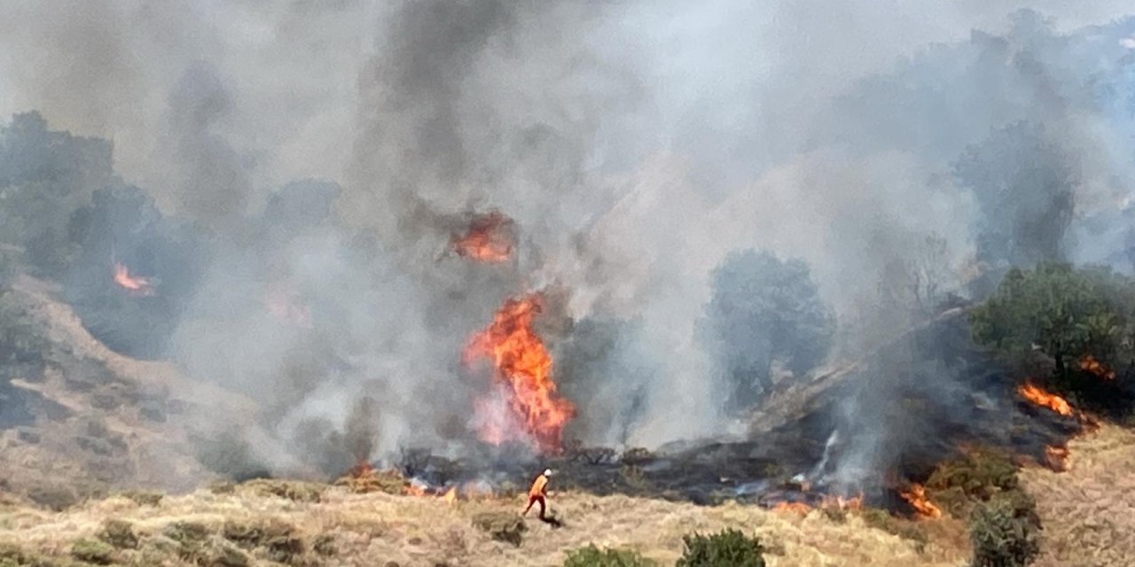 Bingöl’de İki İlçede Orman Yangını