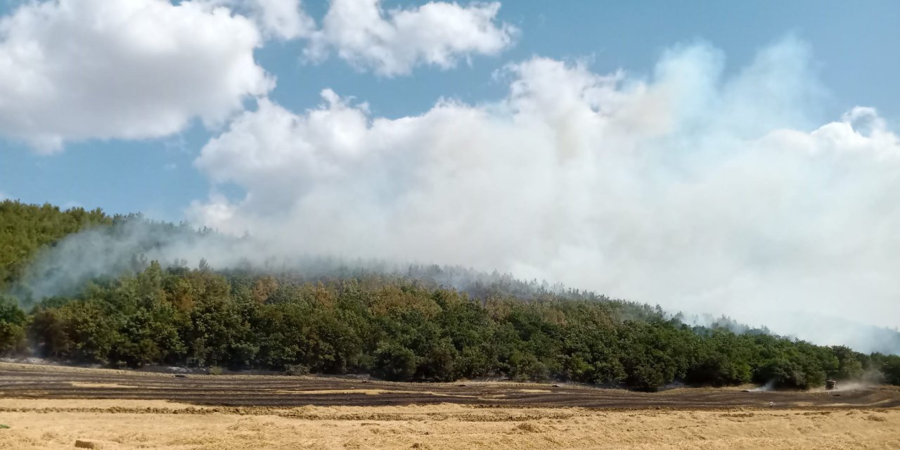 Edirne Keşan’da Orman Yangını