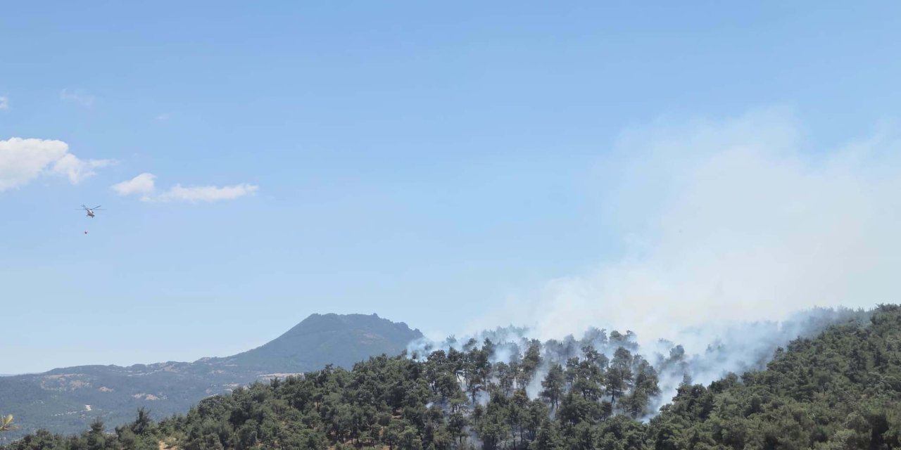 Balıkesir'de Orman Yangını (2)