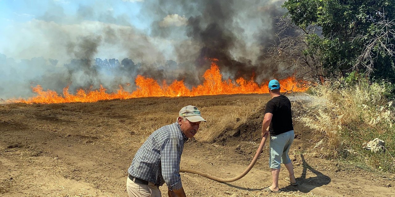 Edirne'de Buğday Tarlasında Çıkan Yangın, Ağaçlara Sıçradı