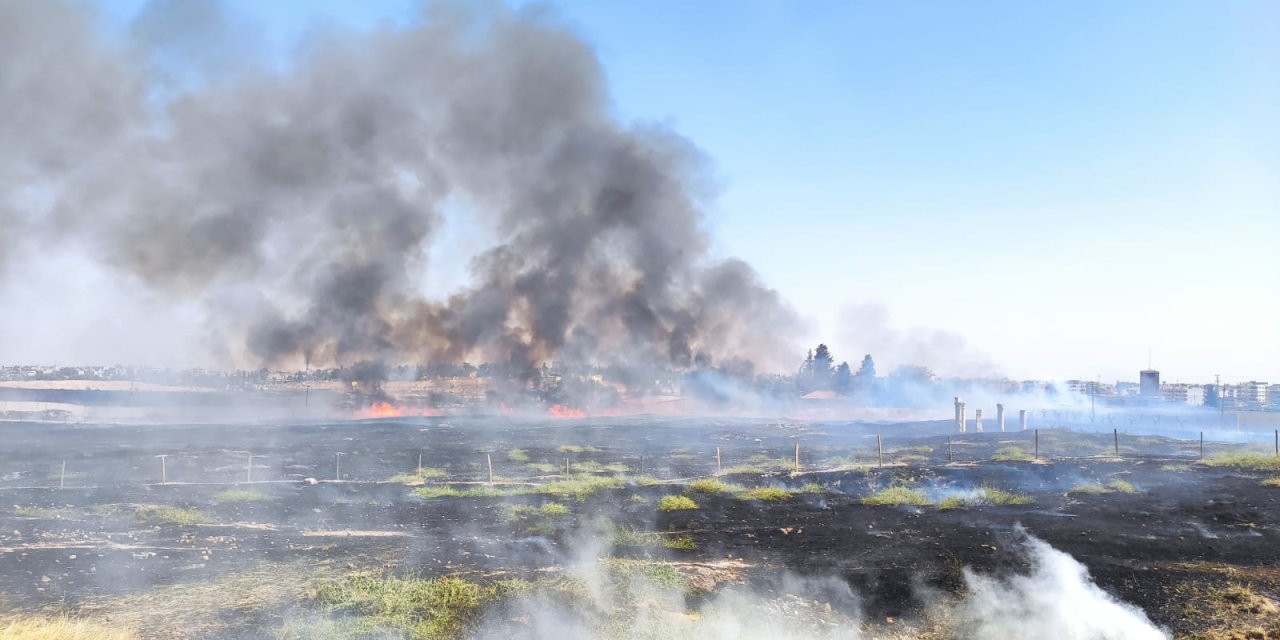 Suriye Sınırında, Mayınlı Bölgede Çıkan Ot Yangını Söndürüldü