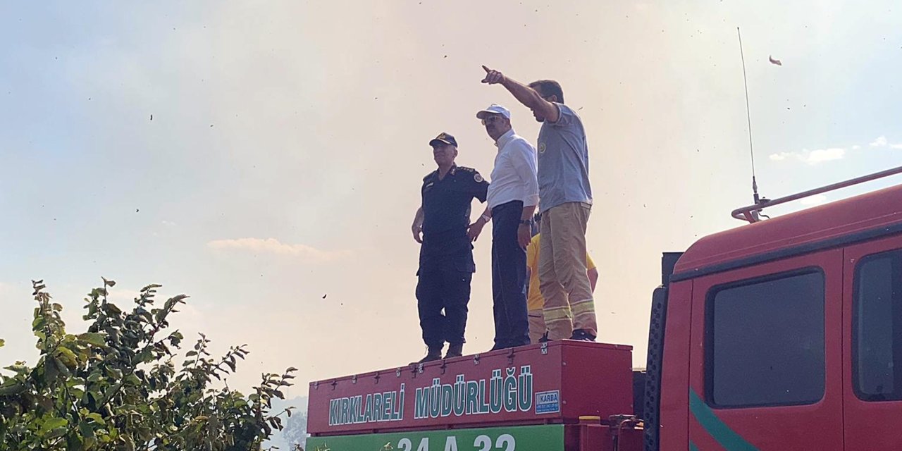 Edirne'de Buğday Tarlasında Çıkan Yangın, Ağaçlara Sıçradı (2)