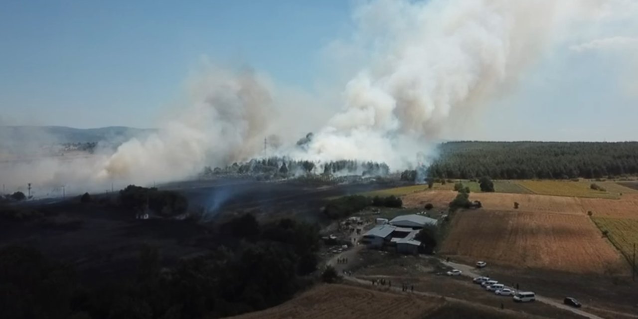 Bursa'da Anız Yangını, Buü Kampüsünün De İçinde Olduğu Ormana Sıçradı