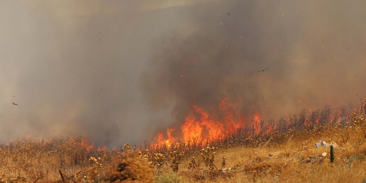 Balıkesir'de Sazlık Yangını; 10 Hektar Alan Zarar Gördü