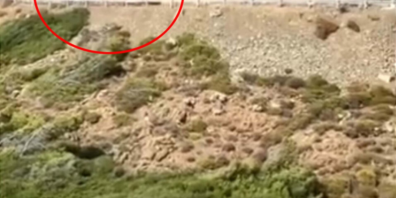 Marmaris'te Orman Yangını (3)