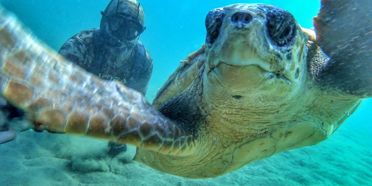 Rekortmen Dalgıç, Denizin Dibinde Caretta Caretta İle Selfie Çekti