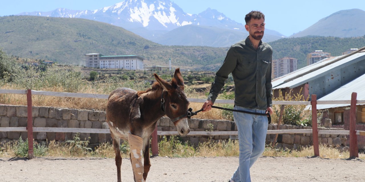 Sahiplerinin Terk Ettiği Eşek, Yaşamını Çiftlikte Sürdürecek