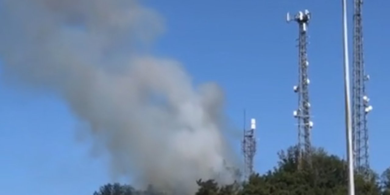 Edirne’nin İpsala İlçesinde Çıkan Orman Yangını Söndürüldü