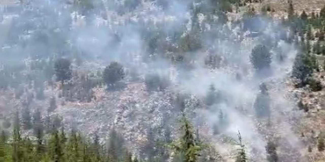 Mersin'de Orman Yangını