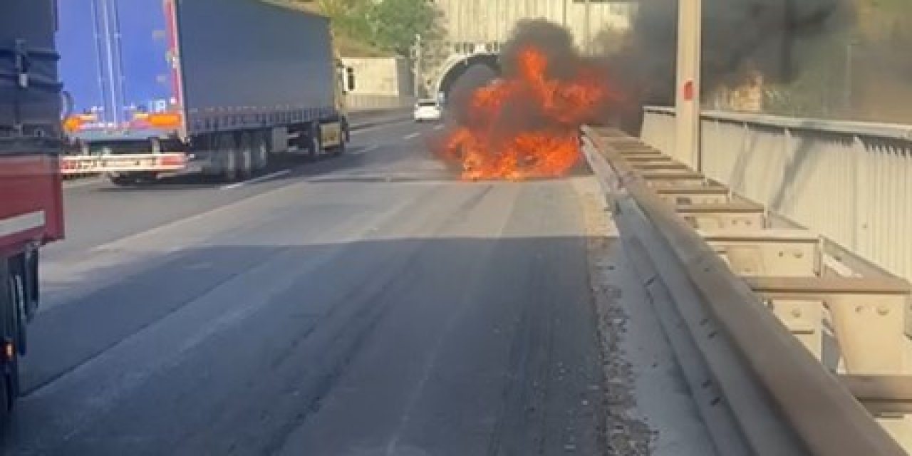 Tem'de Otomobilde Çıkan Yangın Ağaçlara Sıçradı; 7 Kilometrelik Araç Kuyruğu Oluştu